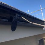 擁壁部　撥水材塗布の施工写真です。