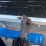 仕上がりの様子です。