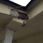 屋根の仕上がり