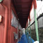 屋根の仕上がり