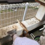 錆止め材塗布、仕上げ材塗布を2回行い、駐輪場の塗装は完了です。