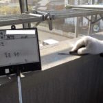 壁面　仕上がり