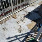 防水　仕上がり