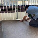 防水　仕上がり